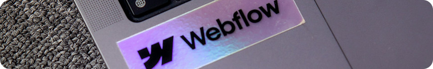 Web development services